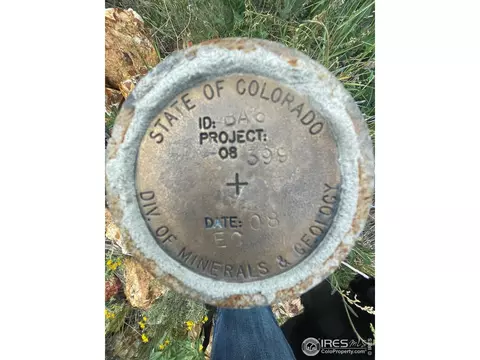 1009 County Road 87j, Lyons, CO 80540 photo 18