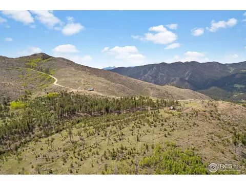 1009 County Road 87j, Lyons, CO 80540 photo 8
