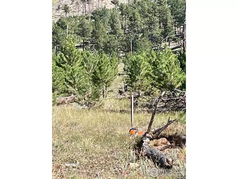 1009 County Road 87j, Lyons, CO 80540 photo 26