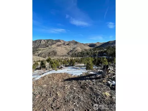1009 County Road 87j, Lyons, CO 80540 photo 25