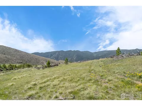 1009 County Road 87j, Lyons, CO 80540 photo 9