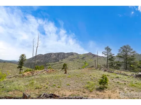 1009 County Road 87j, Lyons, CO 80540 photo 4