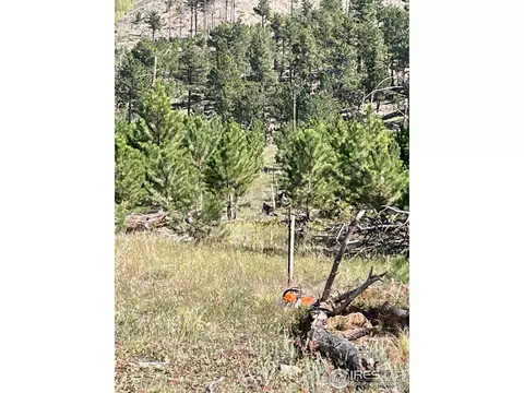 1009 County Road 87j, Lyons, CO 80540 photo 24