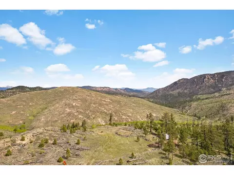 1009 County Road 87j, Lyons, CO 80540 photo 15