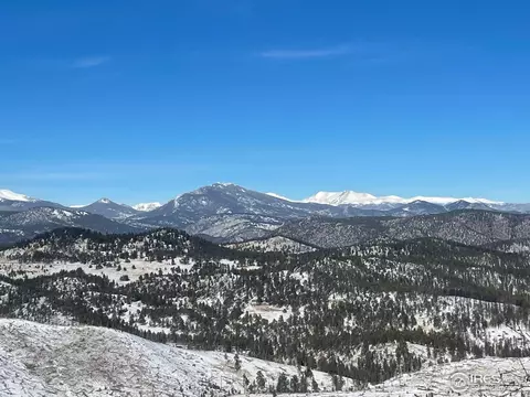 1009 County Road 87j, Lyons, CO 80540 photo 17