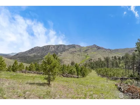 1009 County Road 87j, Lyons, CO 80540 photo 2