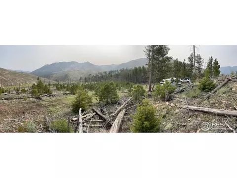 1009 County Road 87j, Lyons, CO 80540 photo 28