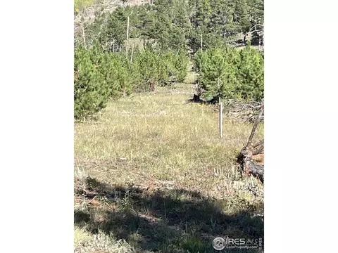 1009 County Road 87j, Lyons, CO 80540 photo 23