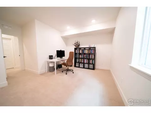 9415 E 58th Dr, Denver, CO 80238 photo 29