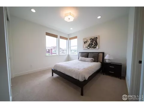 9415 E 58th Dr, Denver, CO 80238 photo 24