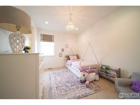 9415 E 58th Dr, Denver, CO 80238 photo 20