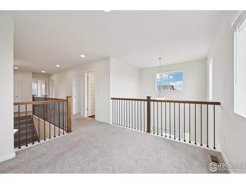 961 Mouflon Dr, Severance, CO 80550 photo 30