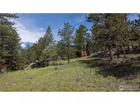 28 Ute Crossing Ct, Lyons, CO 80540 photo 38