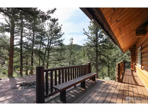 28 Ute Crossing Ct, Lyons, CO 80540 photo 29
