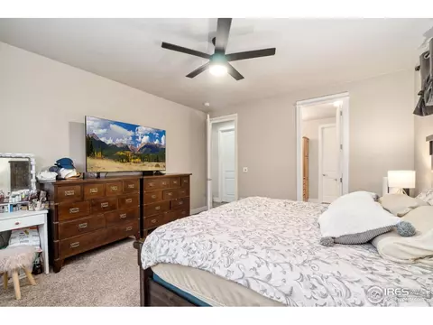 830 Corn Stalk Dr, Windsor, CO 80550 photo 17