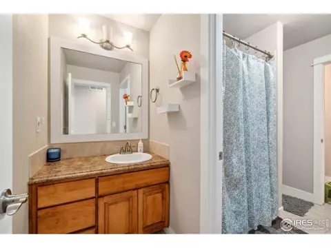 830 Corn Stalk Dr, Windsor, CO 80550 photo 19