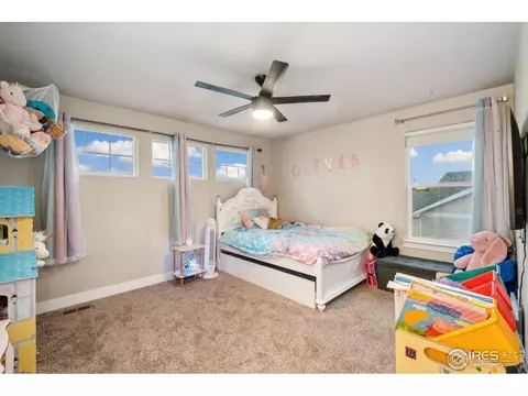 830 Corn Stalk Dr, Windsor, CO 80550 photo 22