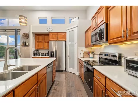 830 Corn Stalk Dr, Windsor, CO 80550 photo 13