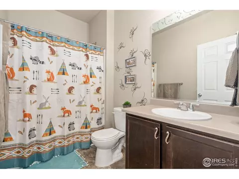 466 Freestone St, Brighton, CO 80603 photo 23
