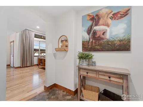 1646 Marbeck Dr, Windsor, CO 80550 photo 22