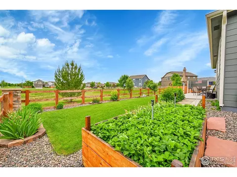 1663 Clarendon Dr, Windsor, CO 80550 photo 18
