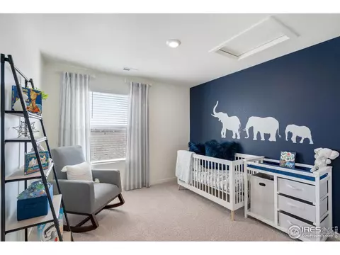 830 Elias Tarn Dr, Severance, CO 80550 photo 24