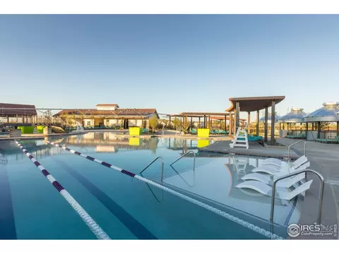 1711 Branching Canopy Dr, Windsor, CO 80550 photo 17