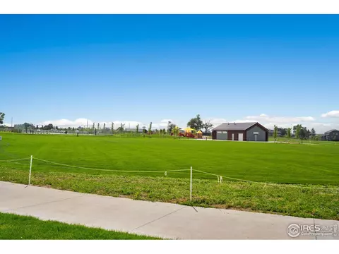 7015 Toponas Ct, Timnath, CO 80547 photo 36
