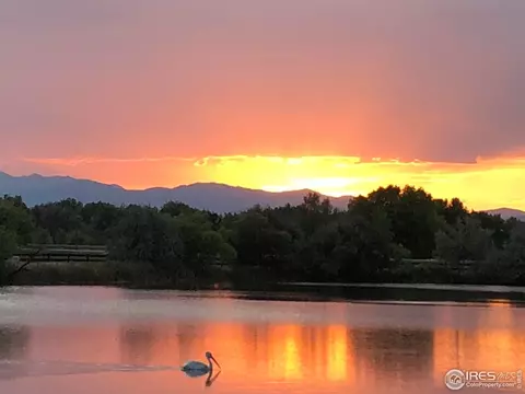 116 Cobble Ct, Windsor, CO 80550 photo 2
