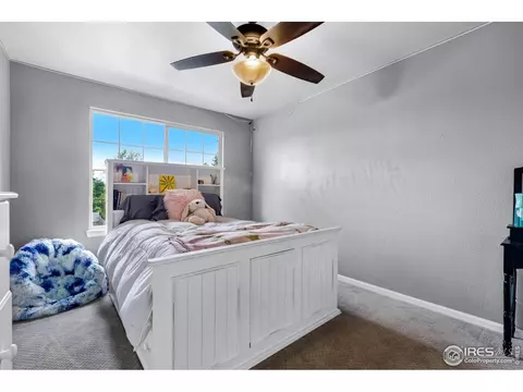 116 Cobble Ct, Windsor, CO 80550 photo 19