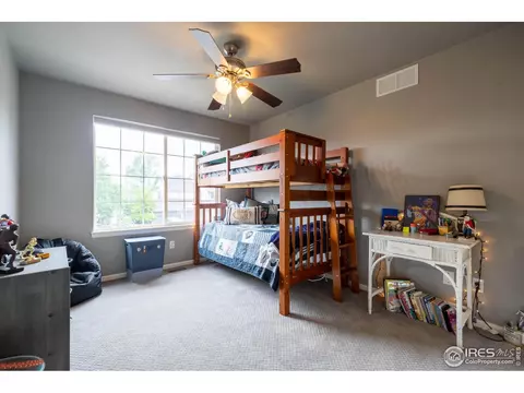 116 Cobble Ct, Windsor, CO 80550 photo 21