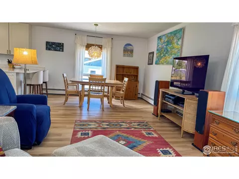 336 Lafever St, Walden, CO 80480 photo 11