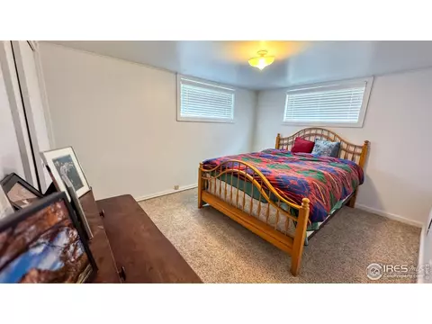 336 Lafever St, Walden, CO 80480 photo 16