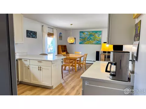 336 Lafever St, Walden, CO 80480 photo 13