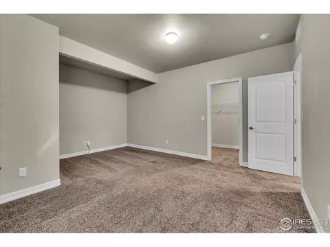 1368 Waterfall St, Timnath, CO 80547 photo 19