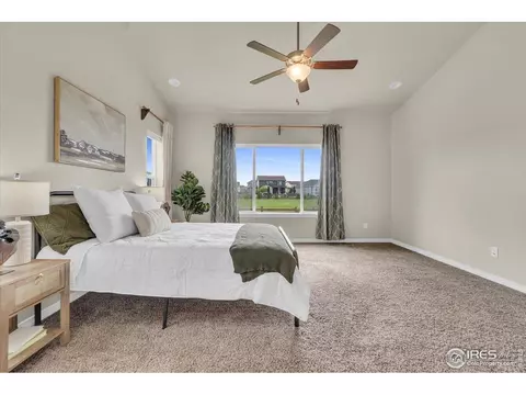 1368 Waterfall St, Timnath, CO 80547 photo 10