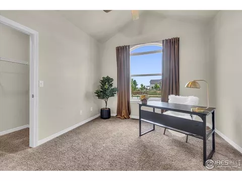 1368 Waterfall St, Timnath, CO 80547 photo 14
