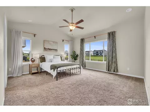 1368 Waterfall St, Timnath, CO 80547 photo 9