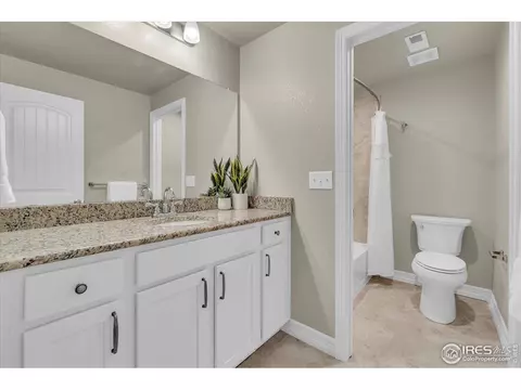 1368 Waterfall St, Timnath, CO 80547 photo 20