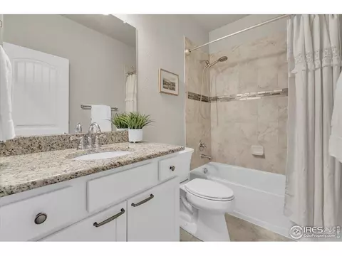 1368 Waterfall St, Timnath, CO 80547 photo 15