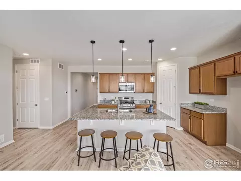 17871 E 96th Pl, Commerce City, CO 80022 photo 9