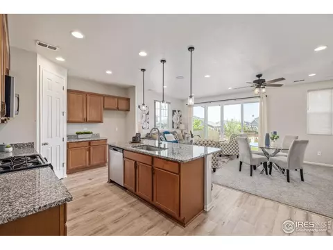 17871 E 96th Pl, Commerce City, CO 80022 photo 5