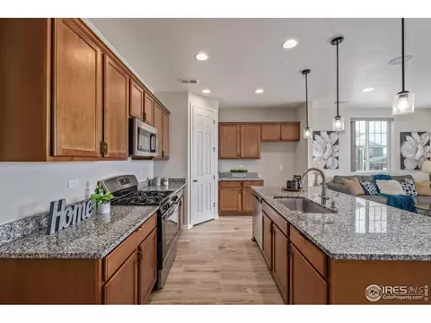 17871 E 96th Pl, Commerce City, CO 80022 photo 8