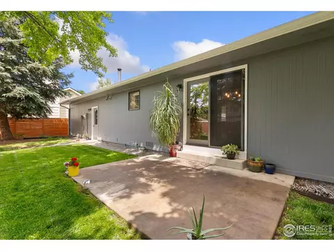 1069 Pinyon Dr, Windsor, CO 80550 photo 35