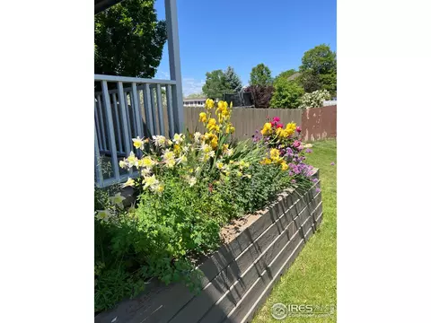1204 Boulder Ct, Windsor, CO 80550 photo 31