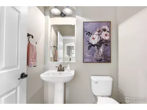 1976 Cayman Dr, Windsor, CO 80550 photo 26