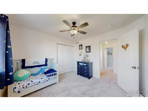 1661 Rise Dr, Windsor, CO 80550 photo 16