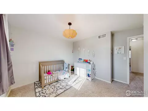 1661 Rise Dr, Windsor, CO 80550 photo 14