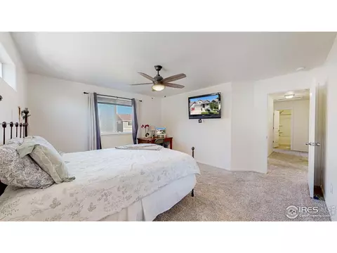 1661 Rise Dr, Windsor, CO 80550 photo 22