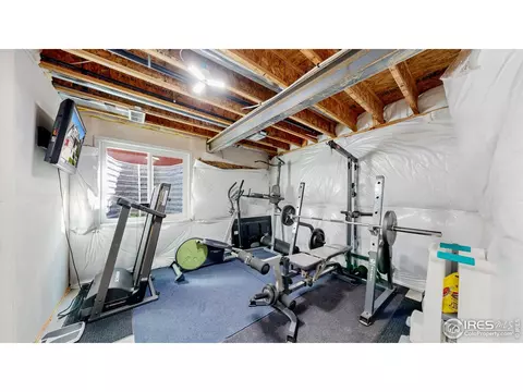 1661 Rise Dr, Windsor, CO 80550 photo 26